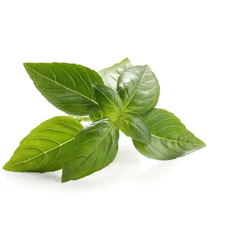 Albahaca 150g